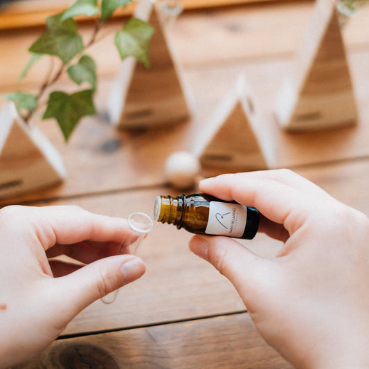 HARIO 木製香氛擴香器 M|日本製實木擴香擺件|無火無電居家香氛