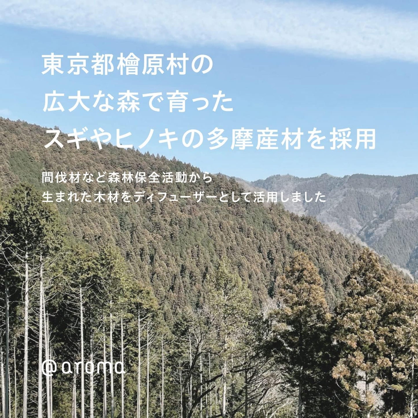 日本 @aroma 木質香氛禮盒|rin 擴香器+C03 森林精油 10ml|檜木尤加利香氛伴手禮