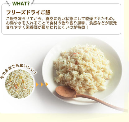 永谷園 防災食品 即食飯 7 年保存 乾燥飯 無需加水 4 種口味 ×5 共 20 袋 非常食