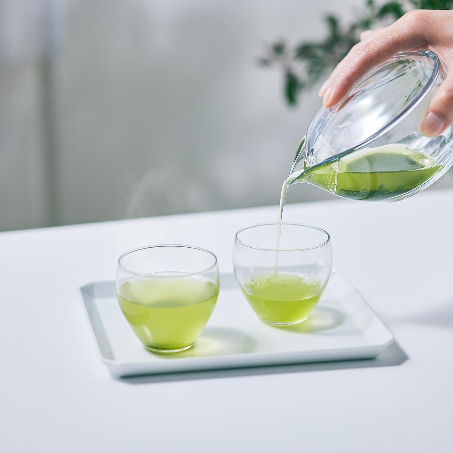 森半 CHASTA 抹茶泡茶器 冷泡茶使用示意