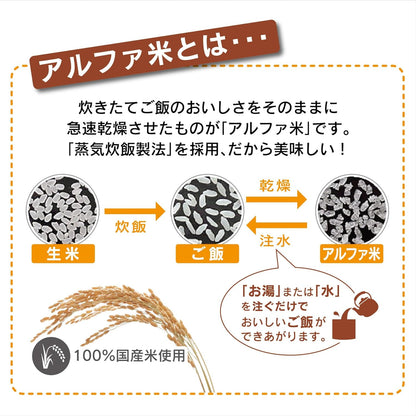 Onisi 尾西 防災食品 5 年保存 乾燥即食 非常食 12 種組 長期保存 避難備糧