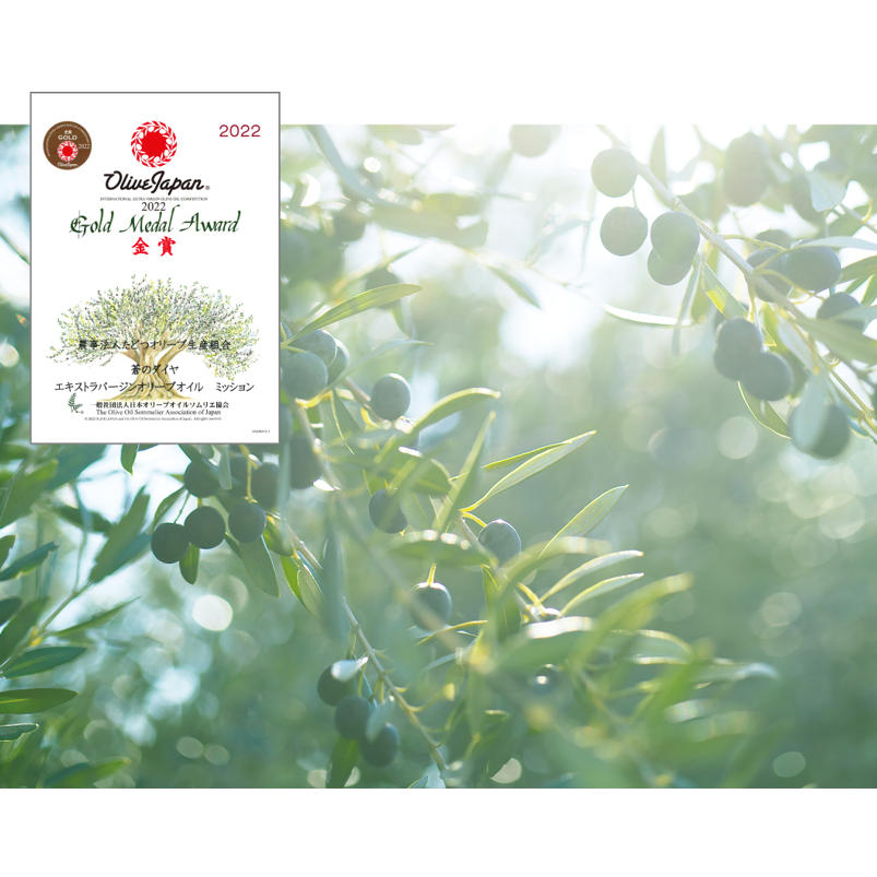 蒼之鑽 AONO DIA 日本國產橄欖油禮盒｜100%特級初榨橄欖油 Extra Virgin Olive Oil 90g×2